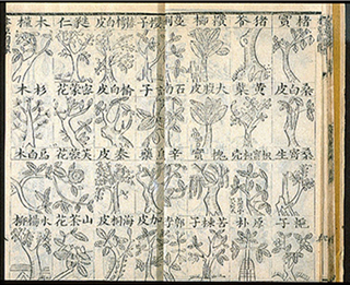 These pages from the 1740 classic text of traditional Chinese medicine, Hu, Tsung-wen Shen-nung pen ts’ao pei yao i fang ho pien, or Herbal and Prescriptions, illustrate plants used medicinally.