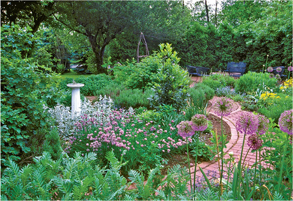 Routine garden maintenance — weeding, pruning, and watering — keeps an herb garden healthy and beautiful