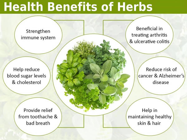 Health Benefits of Herbs